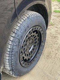 IMG_8269.jpeg