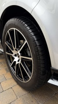 IMG_4347.jpeg