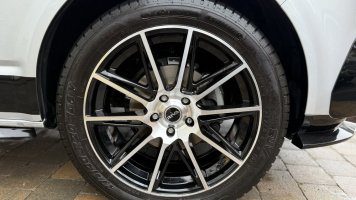 IMG_4343.jpeg
