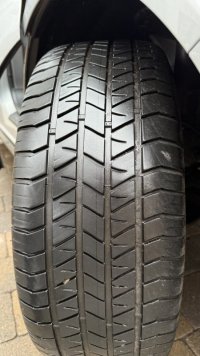 IMG_4355.jpeg