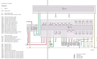 diagram DSG.webp