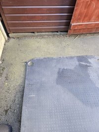 1000031211.jpg