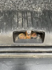 IMG_8684.webp