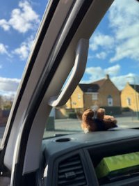 IMG_0516.jpeg