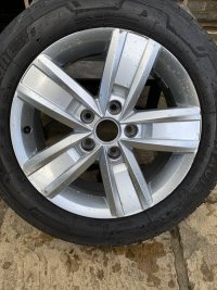 IMG_5779.jpeg