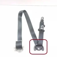 seatbelt.webp