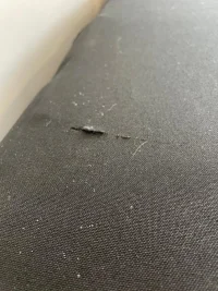 rear damage.webp