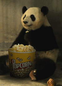 1000009073.gif