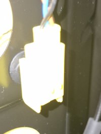 20250326_110557.jpg