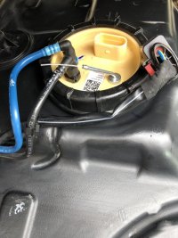 IMG_7052.jpeg