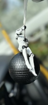 IMG_8554.jpeg