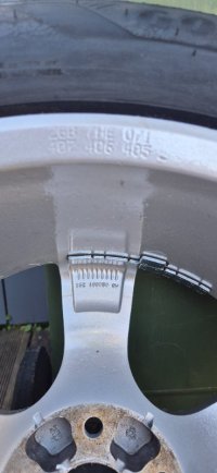 1000020319.jpg