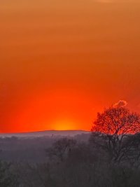 IMG_8652.jpeg
