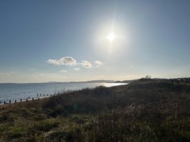 IMG_1167.jpeg