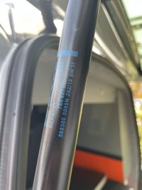 IMG_5881.jpeg
