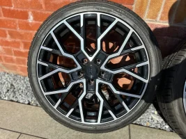 IMG_2539.webp IMG_2539.webp