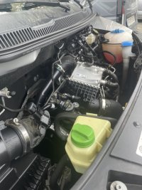 IMG_4909.JPEG