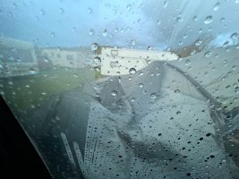 IMG_2649.jpeg