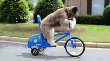 IMG_1895.gif IMG_1895.gif