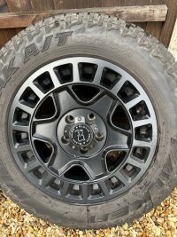 IMG_3811.jpeg