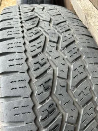 IMG_3807.jpeg