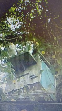 IMG-20250426-WA0000.jpeg