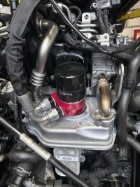 IMG_0021.jpeg