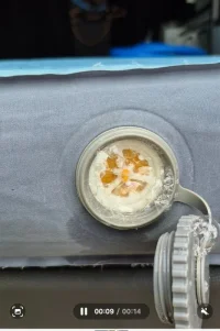 Screenshot_20250505_151752_Gallery.webp Screenshot_20250505_151752_Gallery.webp