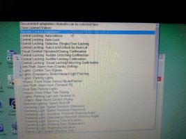 vcds chanel options.jpg