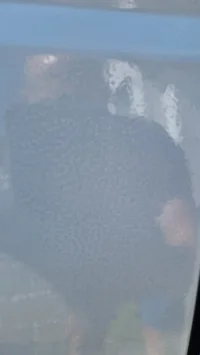 Van respray problem.webp