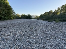 IMG_7424.jpeg