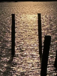 IMG_9192.jpeg