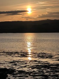 IMG_9193.jpeg