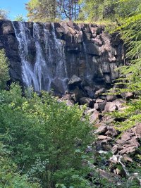 IMG_9209.jpeg