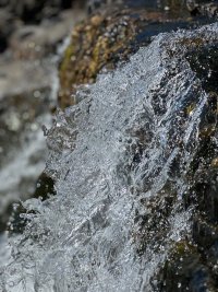 IMG_9295.jpeg