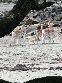 IMG_9326.jpeg