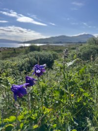 IMG_9308.jpeg