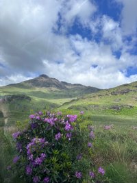 IMG_9314.jpeg