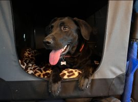 IMG_9317.jpeg