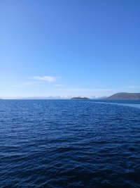 20250517_164345.jpg