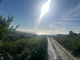 IMG_6845.jpeg