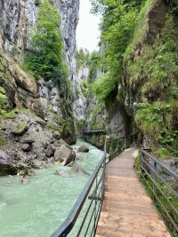 IMG_3834.webp IMG_3834.webp