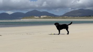 IMG_2566.jpeg