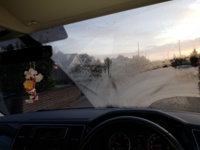 20181003_070929.jpg
