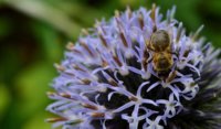 136F4706-5B6F-41CD-B6E1-C56F6D9AD995.jpeg