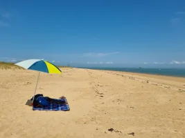 Beach.jpg