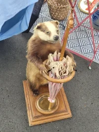 20250615_101831.webp