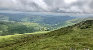 IMG_3630.jpeg