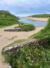 IMG_9567.jpeg IMG_9567.jpeg