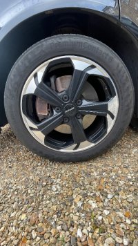 IMG_5207.jpeg